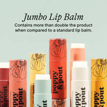 Load image into Gallery viewer, Lip Balm, Island Coconut